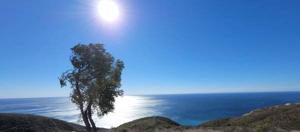 $877 / 870400ft2 - Malibu Way Out (Malibu West)s