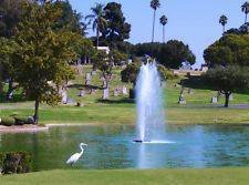 $15,000 5 Burial Plots at Inglewood Memorial Park (Inglewood)s
