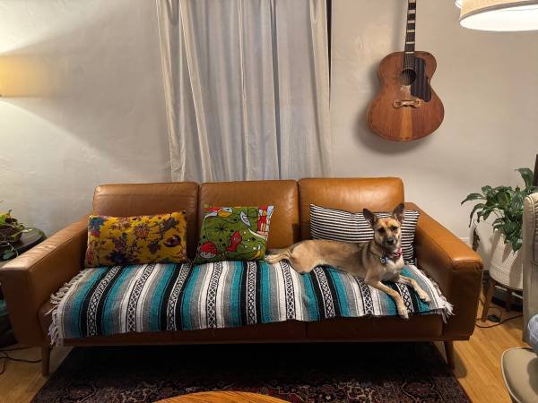 $1,700 / 2br - 169ft2 - FEMALE ONLY Roommate Wanted: (TOLUCA LAKE)s