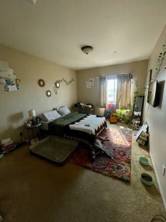 $1,300 / 3br - Room for rent with private bathroom (Palms)s