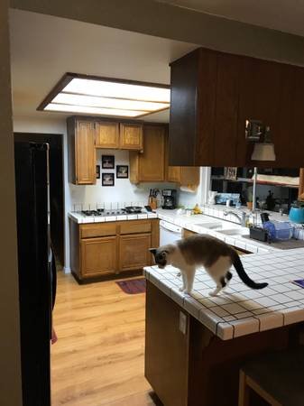 $1,000 / 4br - 110ft2 - Room For Rent (Santa Clarita)s