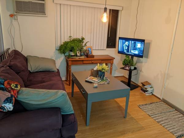 $1,680 for 500 sq ft - AVAILABLE - North Hollywood Junior Studio Sublet January 1st - July 31st (North Hollywood)s