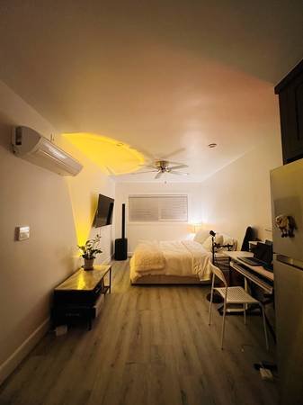 $1,650 / 500ft2 - Great Deal - Studio in the Heart of K-Town (1 Month Sublet) (Koreatown)s