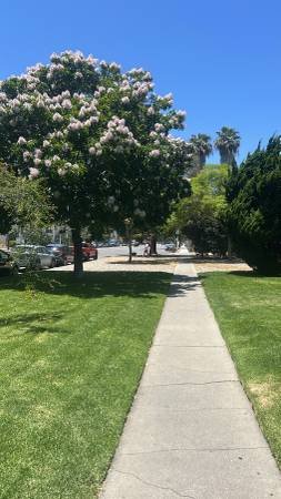 $2,000 / 1br - 780ft2 - One Bedroom - Close to the Beach !! Next Month Nov 2025 Westside (Mar Vista)s