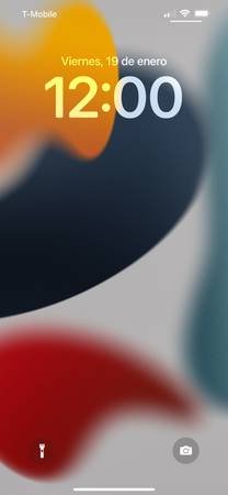 Doing Massages I Am Transsexual CD (Los Angeles)s