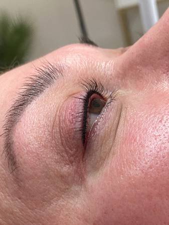 Eyebrows, Lash Lift, Permanent Makeup - Russian Master, High Quality (Sherman Oaks)s