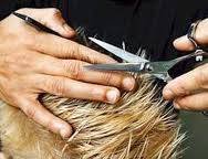 Men's Body Waxing, Trimming, Manscaping, Brazilian, Haircuts (Santa Clarita, Sylmar, San Fernando) Men's Body Waxing, Trimming, Manscaping, Brazilian, Haircuts (Santa Clarita, Sylmar, San Fernando)