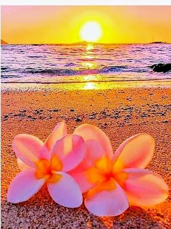 Licensed Esthetician with Massage Services (Sherman Oaks)s