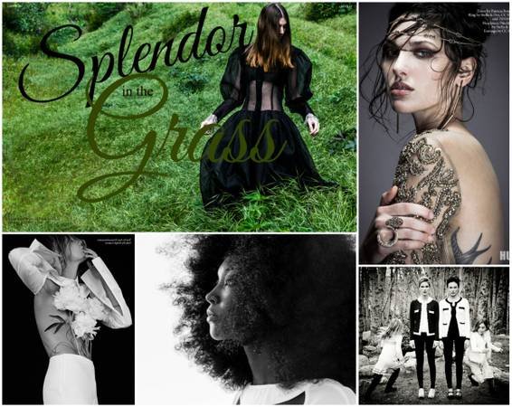 Private Photography Classes / Lessons (Hollywood Hills) Private Photography Classes / Lessons (Hollywood Hills)