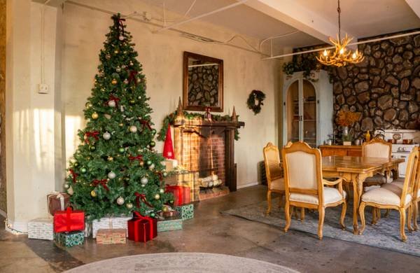 Holiday Studio Portrait Sessions $200 Holiday Studio Portrait Sessions $200