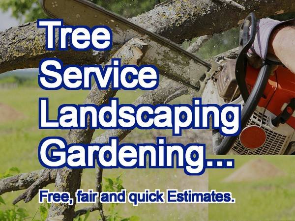 PRO Tree Specialist, Landscaping, more. Estimates. (Los Angeles, West, South. Orange County, more.) PRO Tree Specialist, Landscaping, more. Estimates. (Los Angeles, West, South. Orange County, more.)