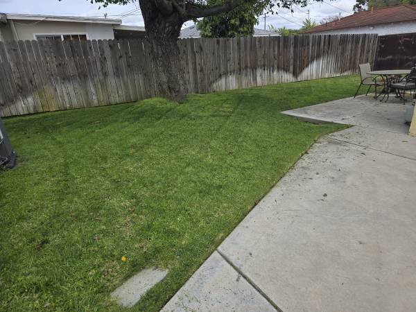 JORGE'S LAWN & Gardening Maintenance. Sprinklers Repair Artificial Grass (Long Beach & Surrounding. 562-221-5008.) JORGE'S LAWN & Gardening Maintenance. Sprinklers Repair Artificial Grass (Long Beach & Surrounding. 562-221-5008.)