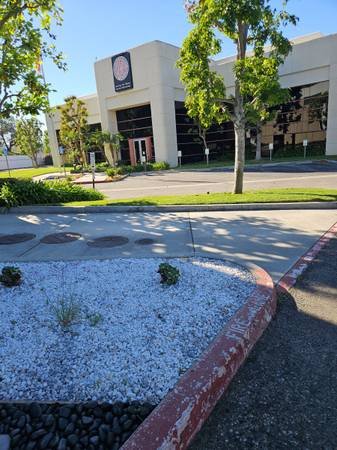 GEORGE TREE SERVICE (San Gabriel Valley, San Bernardino, Anaheim)s