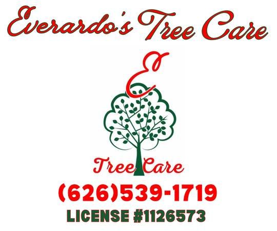TREE SERVICE TREE SERVICE