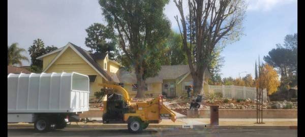 Tree Trimming Stump Grinding Palm Tree Trimming Gardener (West Hills) Tree Trimming Stump Grinding Palm Tree Trimming Gardener (West Hills)