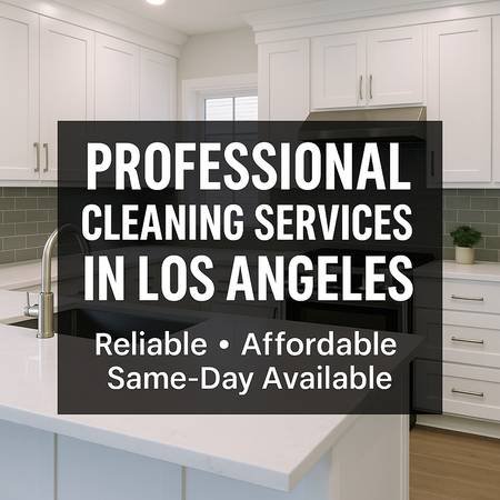 Professional Cleaning Services in Los Angeles (Los Angeles / San Fernando Valley) Professional Cleaning Services in Los Angeles (Los Angeles / San Fernando Valley)