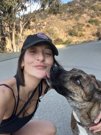 $84 per Day - House Sitting or Boarding - Professional Pet Lover $84 per Day - House Sitting or Boarding - Professional Pet Lover