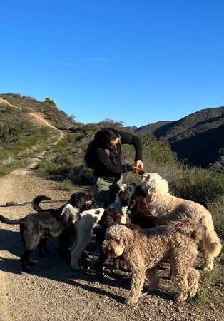 Loving Dog Walking, Hiking and Training Services - Burbank and Glendale (Burbank) Loving Dog Walking, Hiking and Training Services - Burbank and Glendale (Burbank)