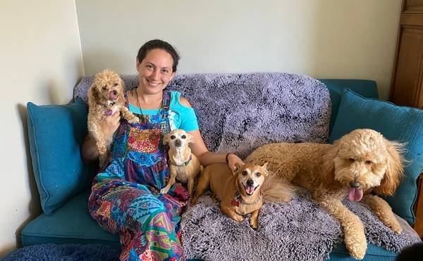 Dog Boarding, Dog Sitter Dog Sitting and Doggy Daycare in Woodland Hills (Woodland Hills) Dog Boarding, Dog Sitter Dog Sitting and Doggy Daycare in Woodland Hills (Woodland Hills)