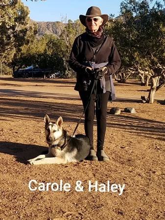 A Cut Above Dog Boarding A Cut Above Dog Boarding