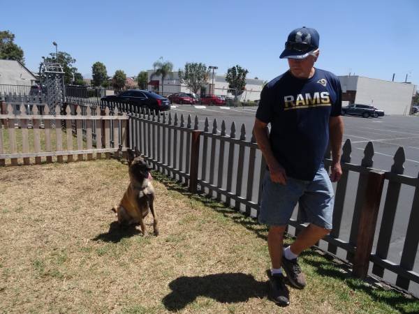 Dog Training, 1 on 1 Coaching, Aggression-Rehab-Service Dog Training (Cerritos) Dog Training, 1 on 1 Coaching, Aggression-Rehab-Service Dog Training (Cerritos)