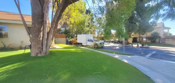 Tree Trimming and Hedge Manicuring Gardener (Northridge) Tree Trimming and Hedge Manicuring Gardener (Northridge)