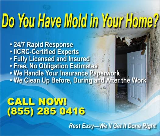 Water Damage? Flooded? Mold Removal? - 24/7 - Relief is Here (Call Now 855-285-0416 - Long Beach) Water Damage? Flooded? Mold Removal? - 24/7 - Relief is Here (Call Now 855-285-0416 - Long Beach)