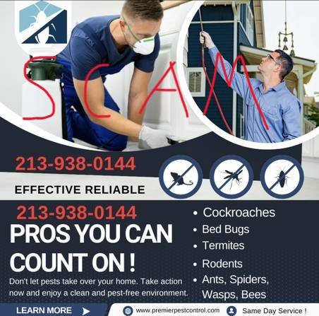 Scam Alert! Pest Control for Rodents, Cockroaches, and Bed Bugs Scam Alert! Pest Control for Rodents, Cockroaches, and Bed Bugs