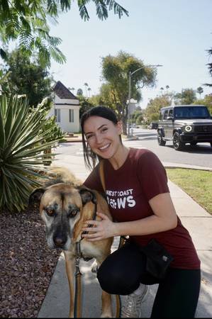 Dog Walkers and Pet Sitters Needed at $25+ per Hour in West Hollywood Areas