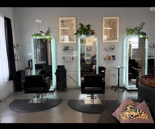 Salon Chair Rental in Culver City Palmss