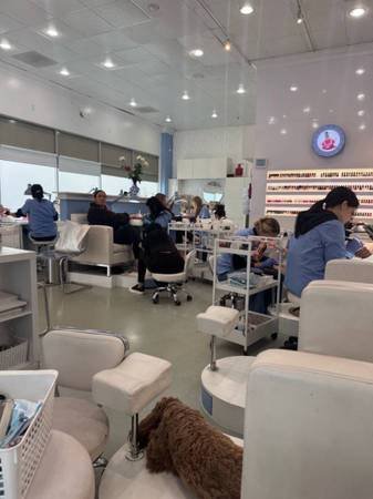 Nail Technician and Receptionist Needed for Nail Salon in Beverly Hills, Los Angeless